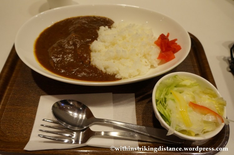 15Feb14 Curry Rice Narita Airport Tokyo Japan 008