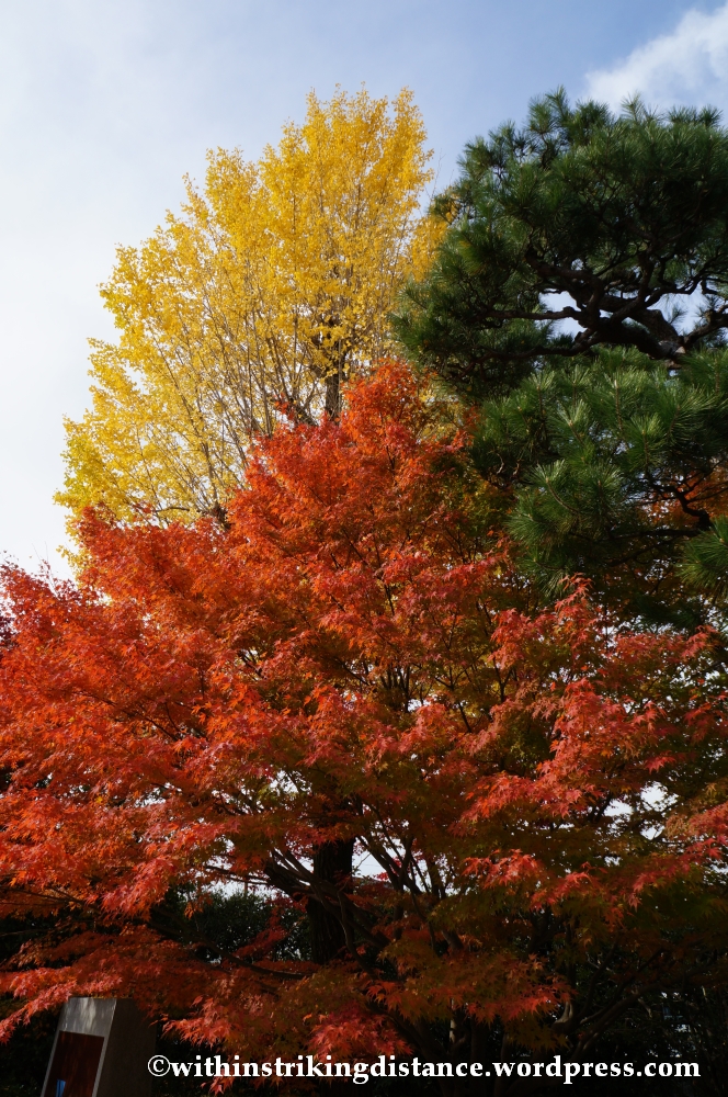 20Nov14 008 Autumn Byodo-in Uji Kyoto Kansai Japan