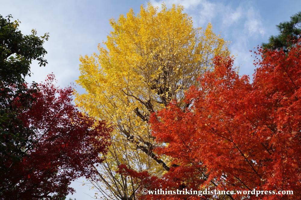 20Nov14 009 Autumn Byodo-in Uji Kyoto Kansai Japan