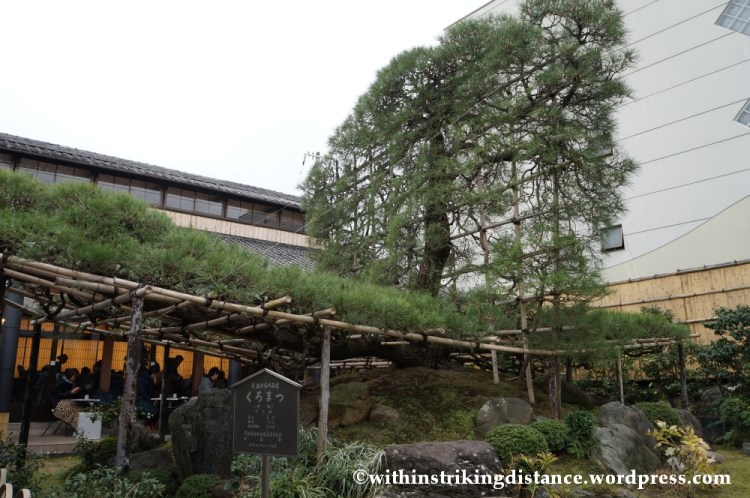 20Nov14 001 Kuromatsu Nakamura Tokichi Honten Uji Kyoto Kansai Japan