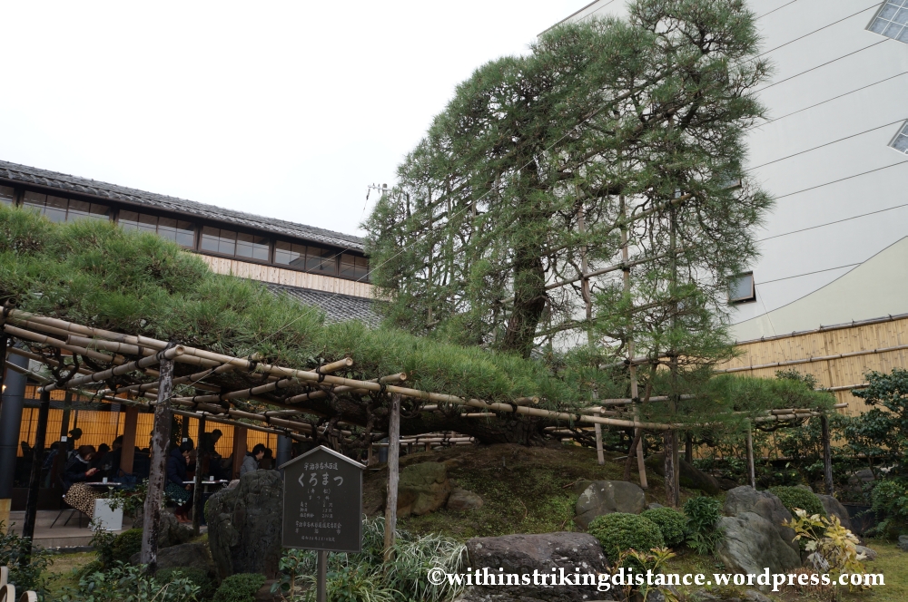 20Nov14 001 Kuromatsu Nakamura Tokichi Honten Uji Kyoto Kansai Japan