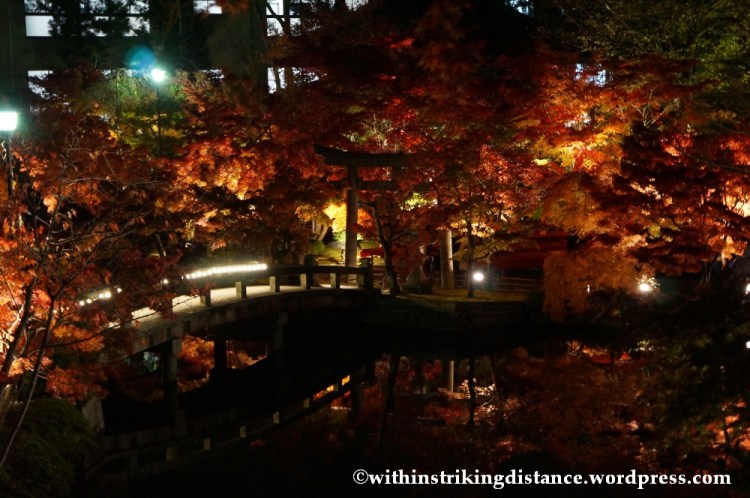 20Nov14 004 Autumn Leaves Eikando Zenrinji Kyoto Kansai Japan
