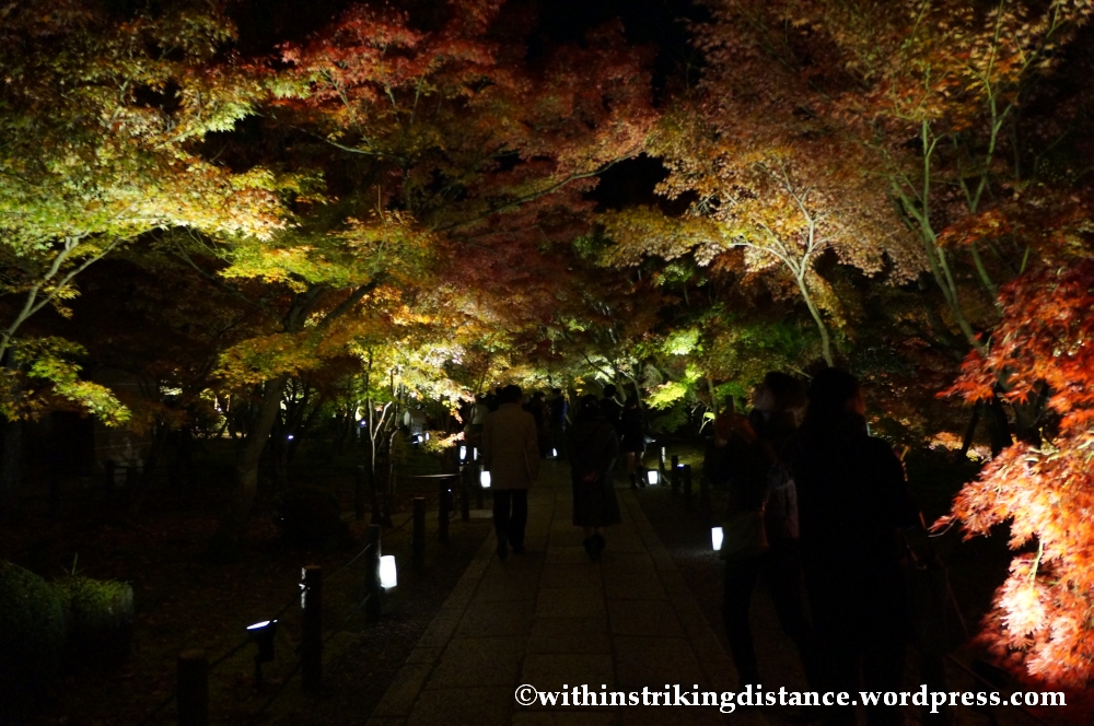 20Nov14 006 Autumn Leaves Eikando Zenrinji Kyoto Kansai Japan