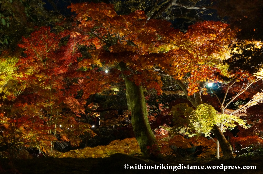 20Nov14 007 Autumn Leaves Eikando Zenrinji Kyoto Kansai Japan