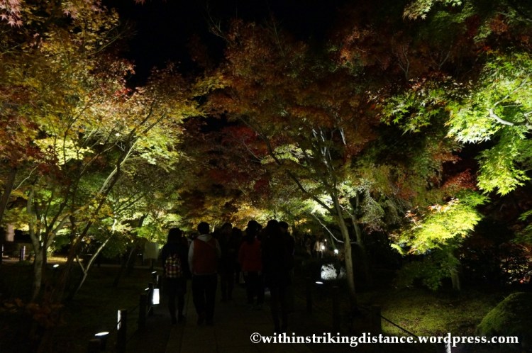 20Nov14 008 Autumn Leaves Eikando Zenrinji Kyoto Kansai Japan