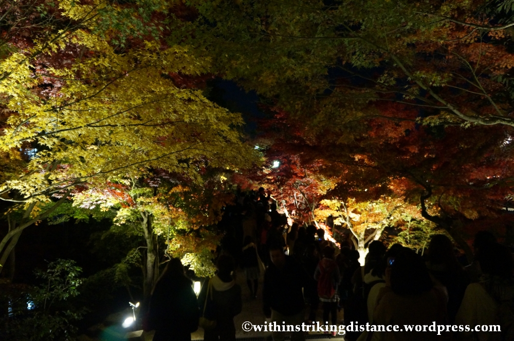 20Nov14 009 Autumn Leaves Eikando Zenrinji Kyoto Kansai Japan