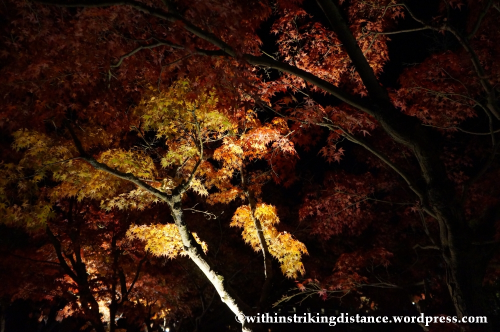 20Nov14 010 Autumn Leaves Eikando Zenrinji Kyoto Kansai Japan