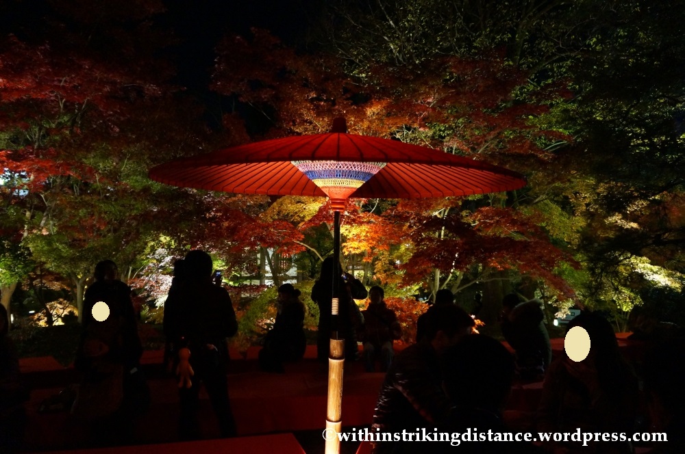 20Nov14 011 Autumn Leaves Eikando Zenrinji Kyoto Kansai Japan