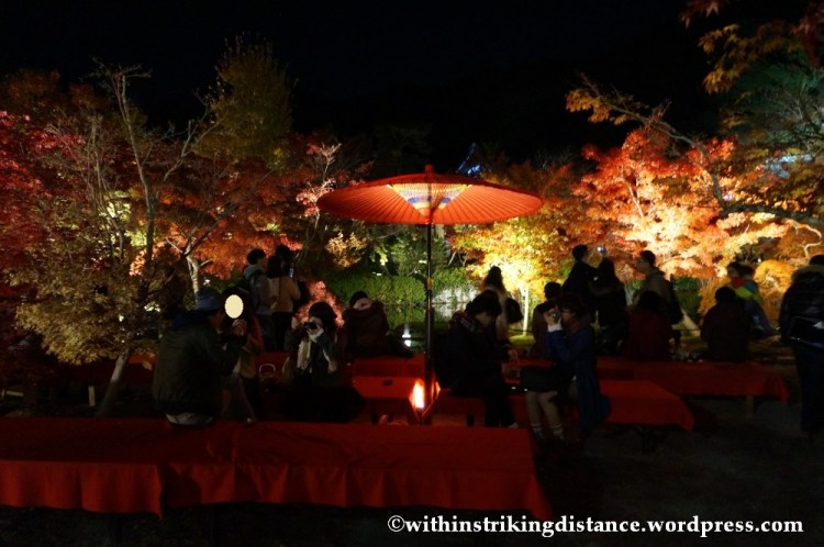 20Nov14 013 Autumn Leaves Eikando Zenrinji Kyoto Kansai Japan
