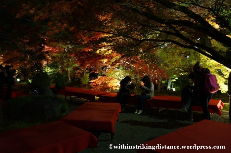 20Nov14 014 Autumn Leaves Eikando Zenrinji Kyoto Kansai Japan