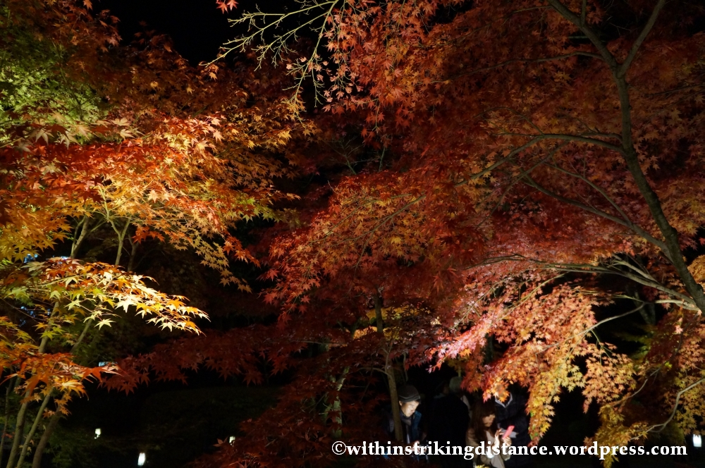 20Nov14 015 Autumn Leaves Eikando Zenrinji Kyoto Kansai Japan
