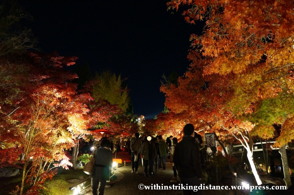 20Nov14 017 Autumn Leaves Eikando Zenrinji Kyoto Kansai Japan