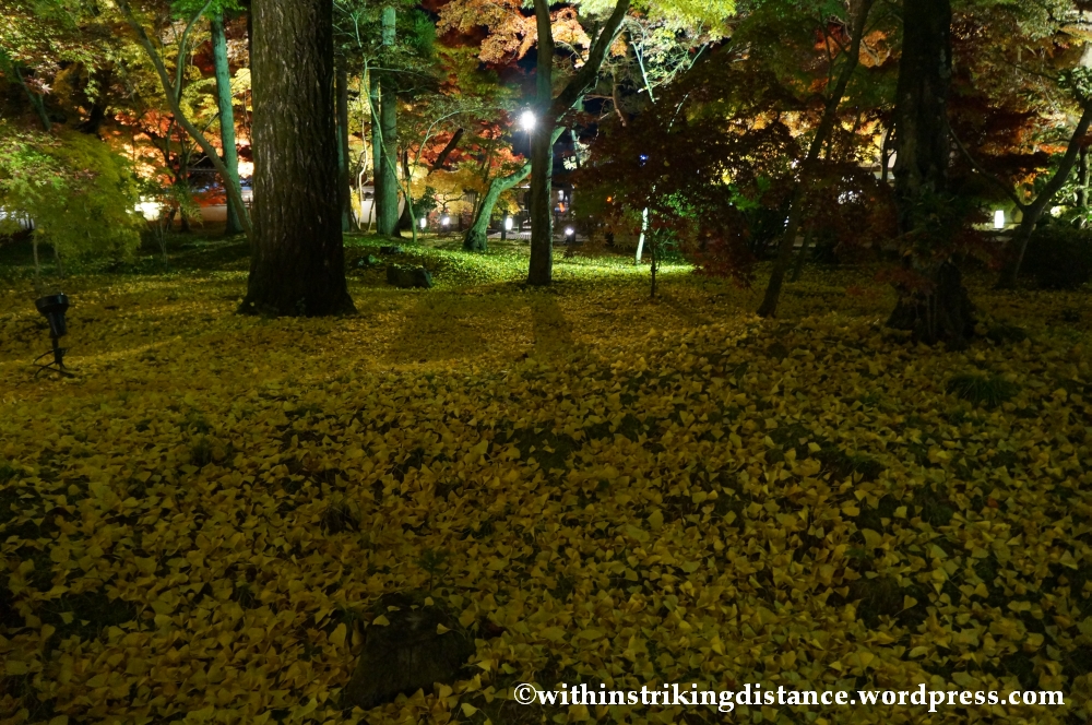 20Nov14 018 Autumn Leaves Eikando Zenrinji Kyoto Kansai Japan