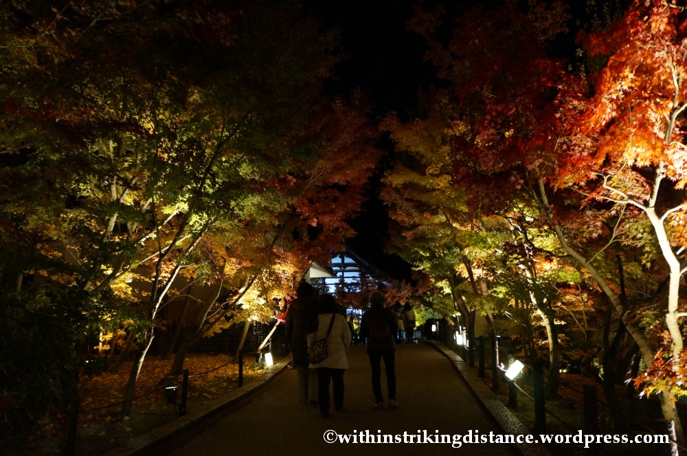 20Nov14 019 Autumn Leaves Eikando Zenrinji Kyoto Kansai Japan