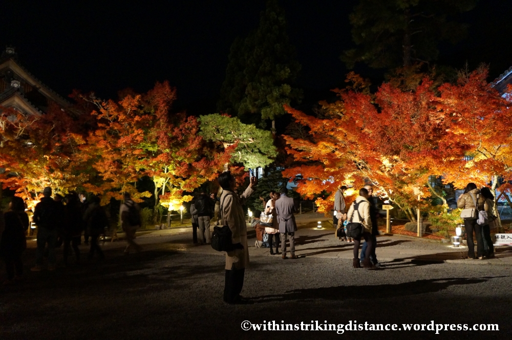 20Nov14 020 Autumn Leaves Eikando Zenrinji Kyoto Kansai Japan