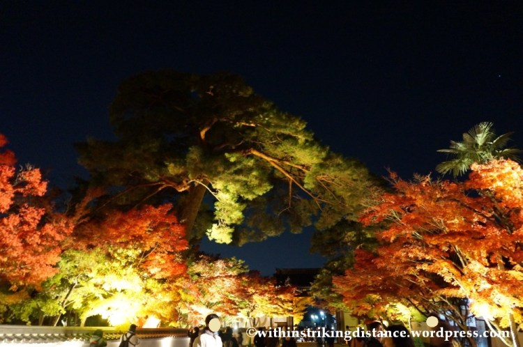 20Nov14 021 Autumn Leaves Eikando Zenrinji Kyoto Kansai Japan
