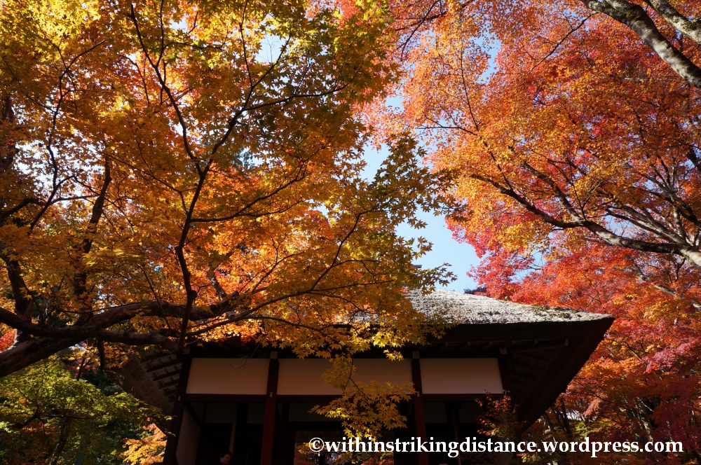 22Nov14 001 Autumn Jojakko-ji Arashiyama Kyoto Kansai Japan