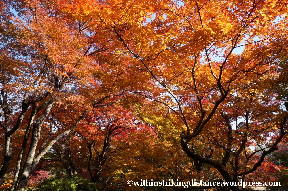 22Nov14 002 Autumn Jojakko-ji Arashiyama Kyoto Kansai Japan