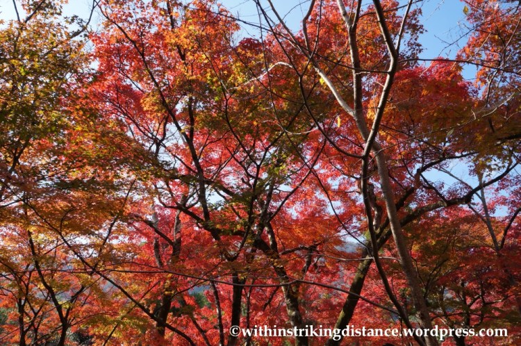 22Nov14 002 Autumn Tenryu-ji Arashiyama Kyoto Kansai Japan