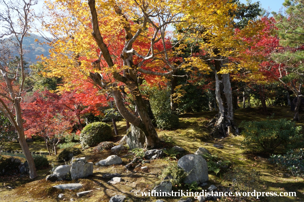 22Nov14 008 Autumn Tenryu-ji Arashiyama Kyoto Kansai Japan