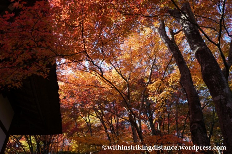 22Nov14 009 Autumn Jojakko-ji Arashiyama Kyoto Kansai Japan