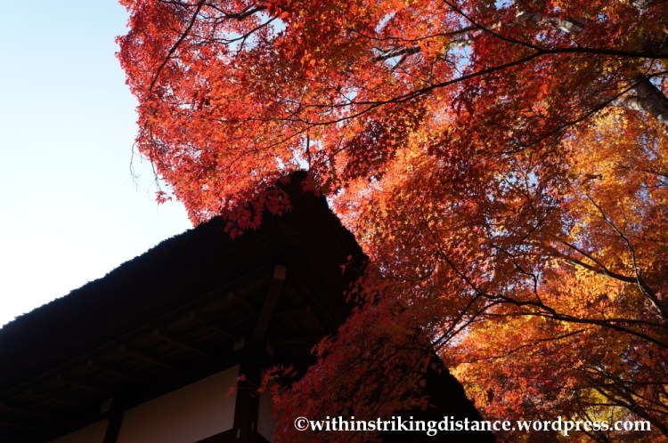22Nov14 010 Autumn Jojakko-ji Arashiyama Kyoto Kansai Japan