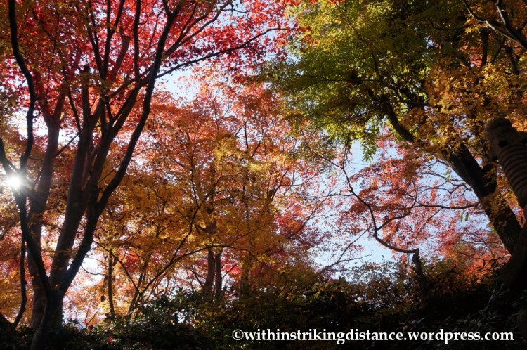 22Nov14 010 Autumn Okochi Sanso Arashiyama Kyoto Kansai Japan