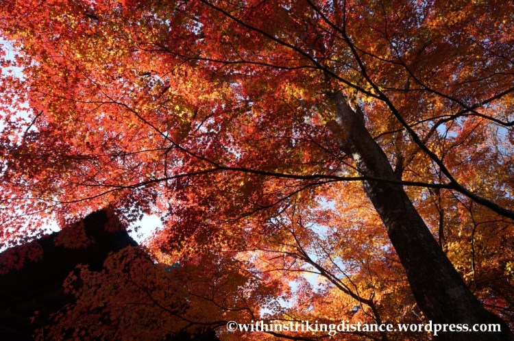 22Nov14 011 Autumn Jojakko-ji Arashiyama Kyoto Kansai Japan
