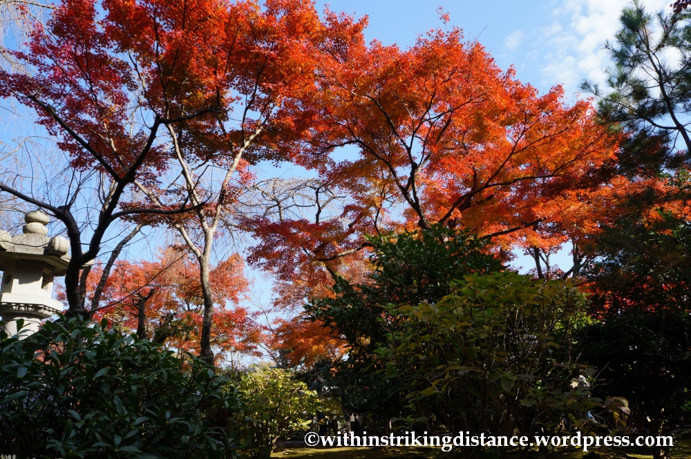 22Nov14 011 Autumn Tenryu-ji Arashiyama Kyoto Kansai Japan