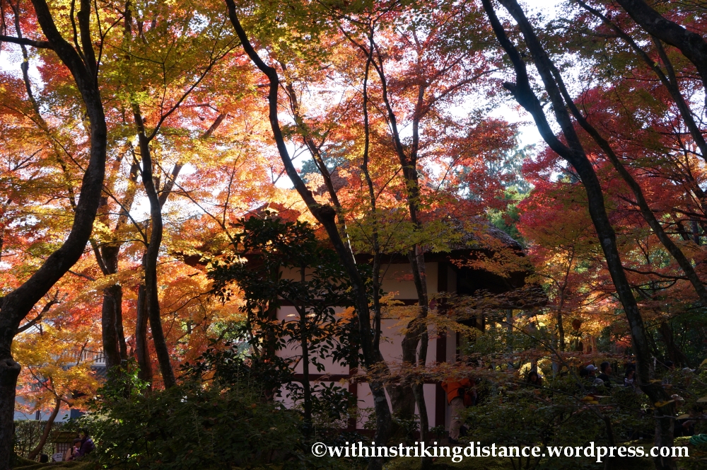 22Nov14 012 Autumn Jojakko-ji Arashiyama Kyoto Kansai Japan