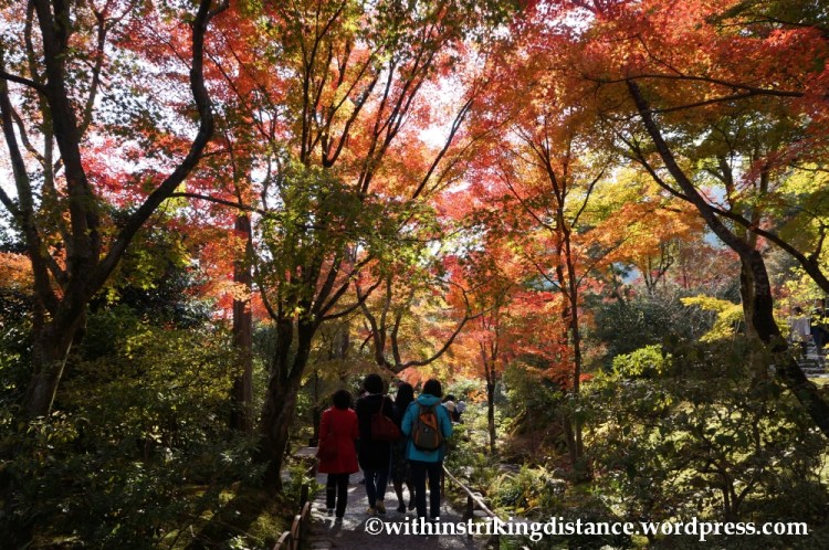 22Nov14 012 Autumn Tenryu-ji Arashiyama Kyoto Kansai Japan