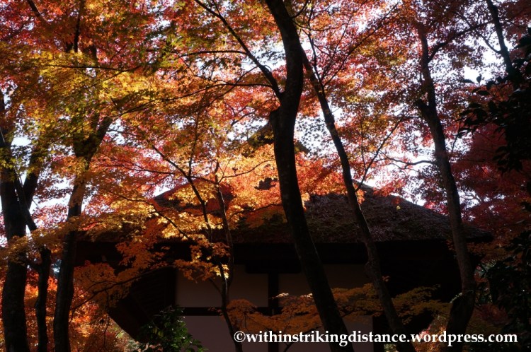 22Nov14 013 Autumn Jojakko-ji Arashiyama Kyoto Kansai Japan