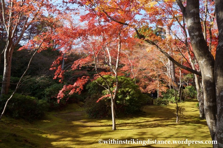 22Nov14 013 Autumn Okochi Sanso Arashiyama Kyoto Kansai Japan