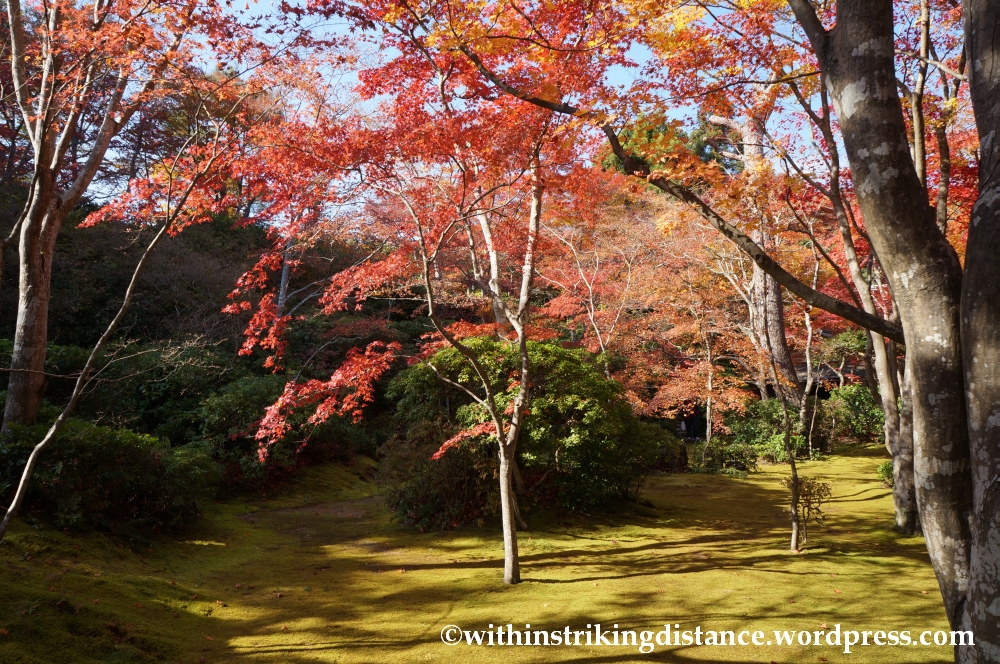 22Nov14 013 Autumn Okochi Sanso Arashiyama Kyoto Kansai Japan