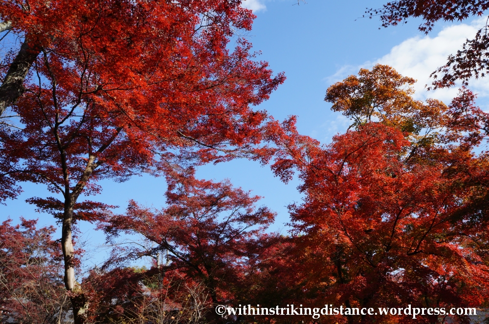 22Nov14 013 Autumn Tenryu-ji Arashiyama Kyoto Kansai Japan