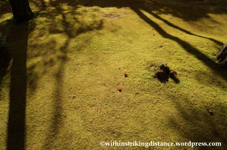 22Nov14 015 Autumn Okochi Sanso Arashiyama Kyoto Kansai Japan