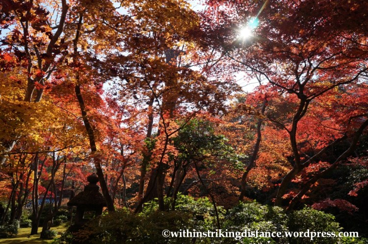 22Nov14 016 Autumn Okochi Sanso Arashiyama Kyoto Kansai Japan