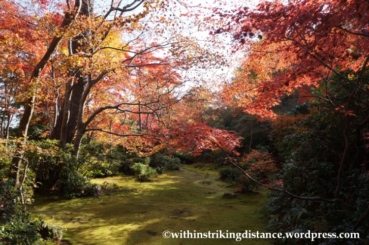22Nov14 017 Autumn Okochi Sanso Arashiyama Kyoto Kansai Japan