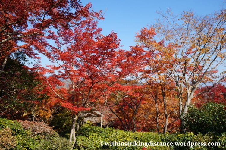 22Nov14 018 Autumn Okochi Sanso Arashiyama Kyoto Kansai Japan