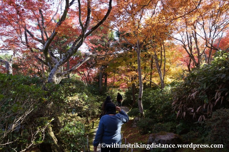 22Nov14 022 Autumn Okochi Sanso Arashiyama Kyoto Kansai Japan