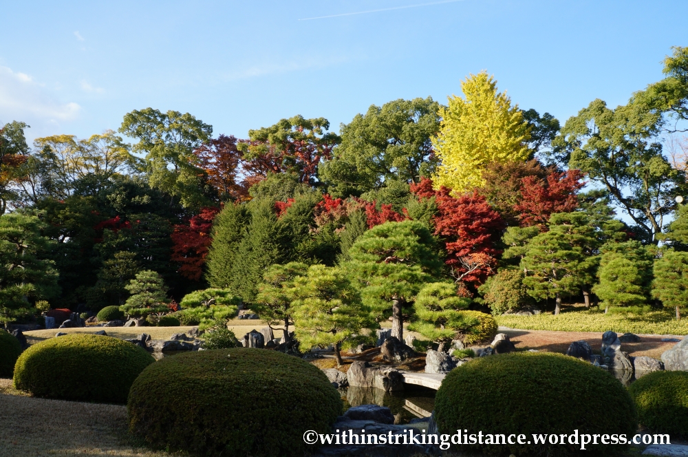 23Nov14 017 Autumn Leaves Nijo Castle Kyoto Kansai Japan