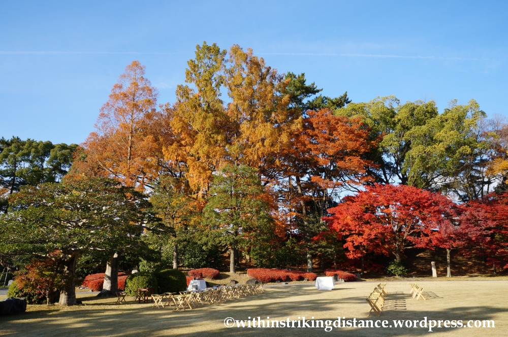 23Nov14 019 Autumn Leaves Nijo Castle Kyoto Kansai Japan
