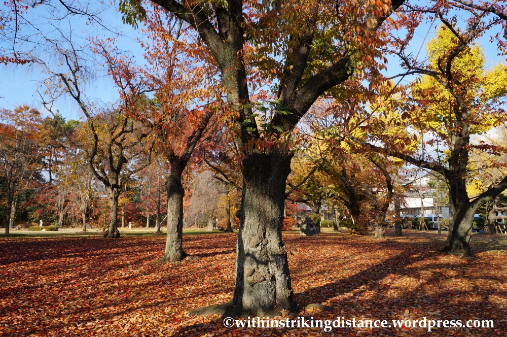 23Nov14 021 Autumn Leaves Nijo Castle Kyoto Kansai Japan