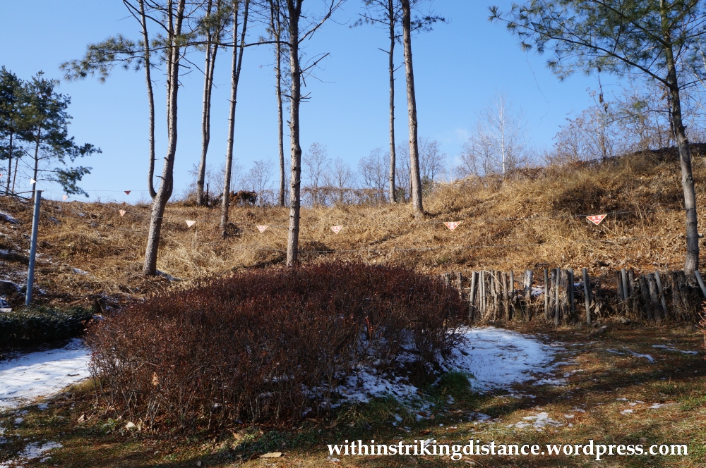 11Dec14 012 Mine Field Third Tunnel DMZ Tour Seoul South Korea