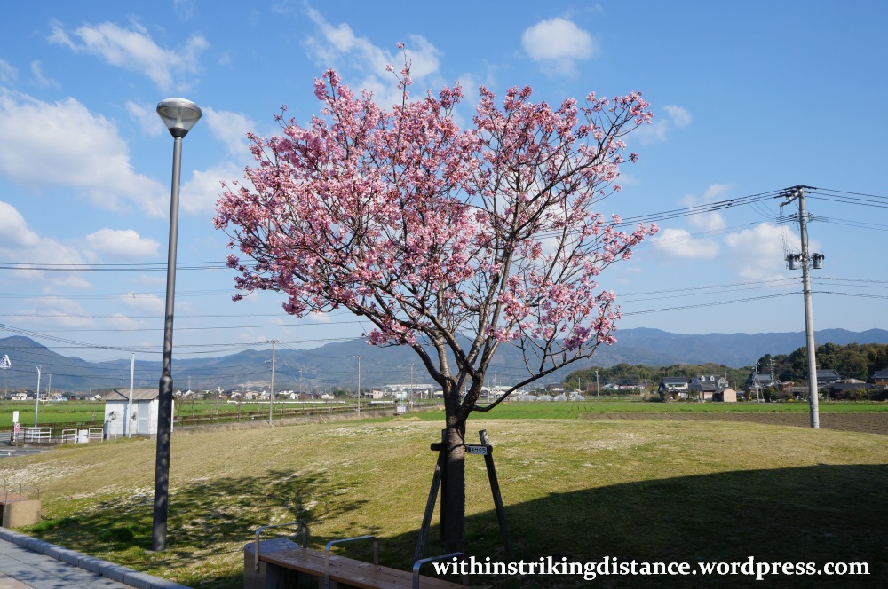 25Mar15 004 Japan Kyushu Saga Yoshinogari
