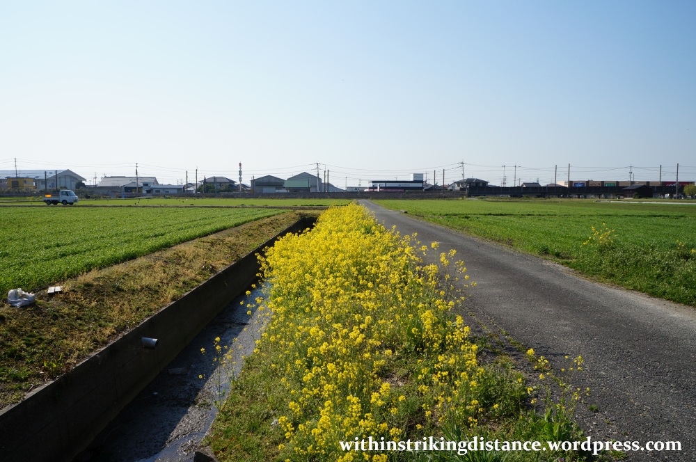 25Mar15 013 Japan Kyushu Saga Yoshinogari