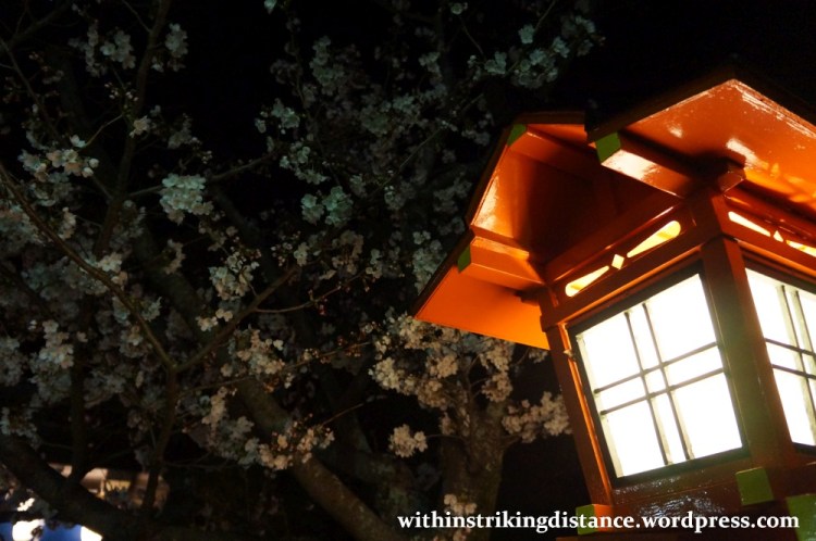 26Mar15 010 Japan Kyushu Nagasaki Mount Inasa Fuchi Shrine Sakura Cherry Blossoms