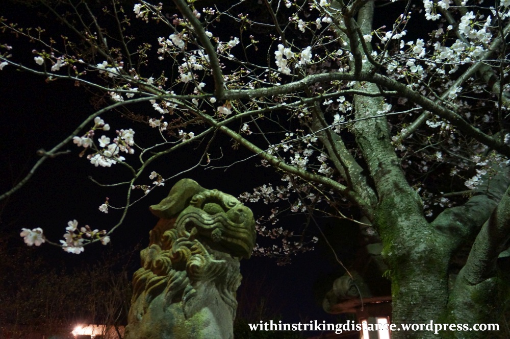 26Mar15 013 Japan Kyushu Nagasaki Mount Inasa Night View Fuchi Shrine Sakura Cherry Blossoms