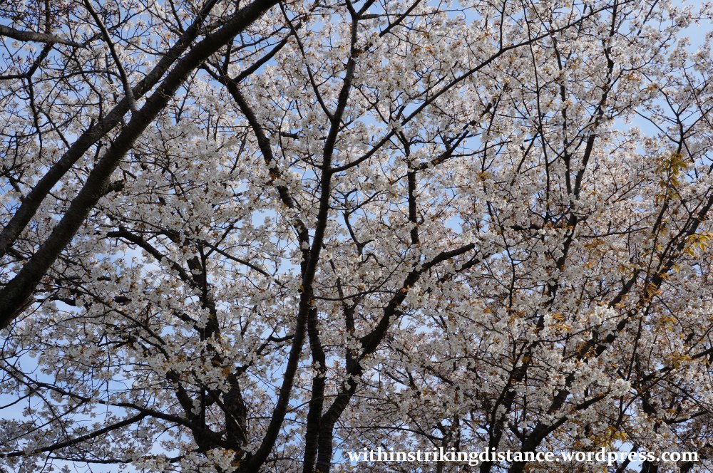 27Mar15 006 Japan Kyushu Kumamoto Suizenji Jojuen Garden