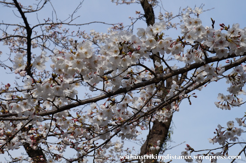 27Mar15 008 Japan Kyushu Kumamoto Suizenji Jojuen Garden